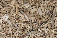 biomass boilers Rychraggan