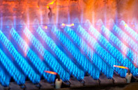 Rychraggan gas fired boilers